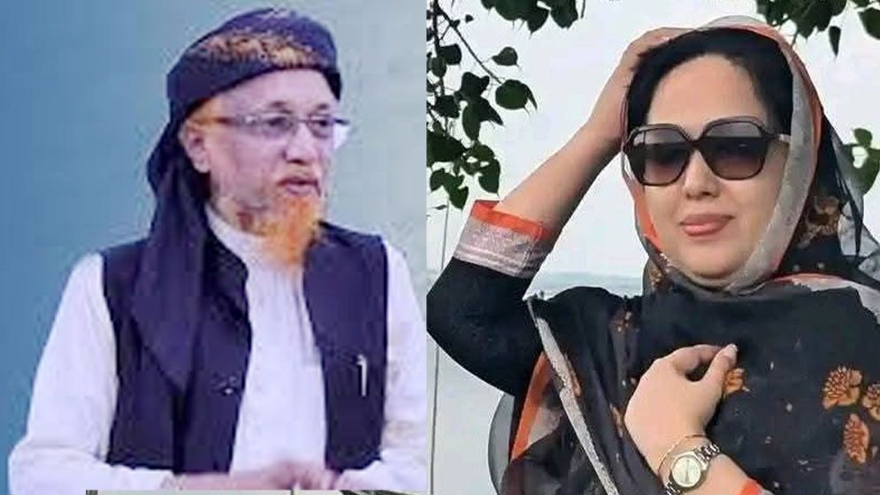 রুমিন ফারহানার শূন্য আসনে বিএনপির প্রার্থী জুনায়েদ আল হাবীব