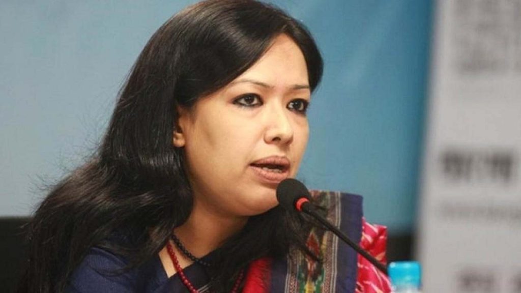 বিএনপি কর্মীদের নিয়ন্ত্রণ না করলে পরিণতি ভয়াবহ হবে: রুমিন ফারহানা